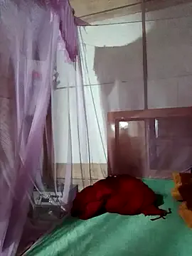 Offline LucyyLy on StripChat