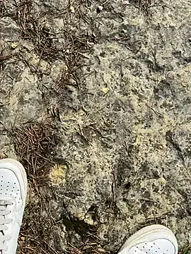 Offline Manu97k on StripChat