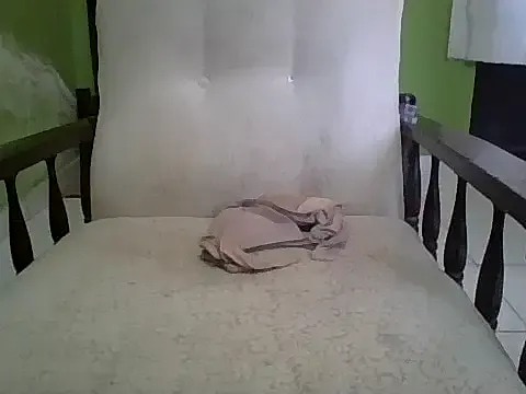 Freechat Ntshire on StripChat