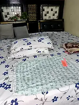 Offline PRIYA_22 on StripChat