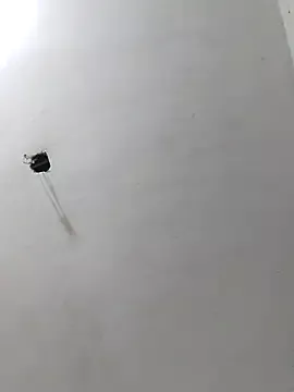 Freechat radhika2 on StripChat