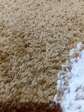 Freechat rimanoxe on StripChat