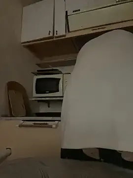 Offline Romsticks on StripChat