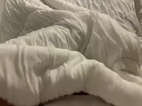 Offline shiro_3 on StripChat