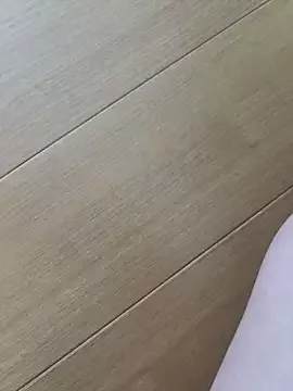 Offline shiro_3 on StripChat