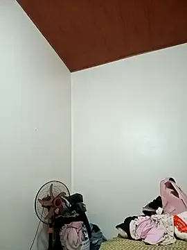 Offline sipy- on StripChat