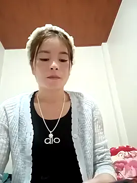 Offline sipy- on StripChat