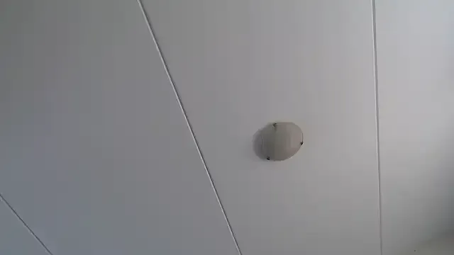 StupidNaturalPhatBooty_ — Ass spread and butt plug