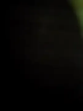 Freechat Troiavaca on StripChat