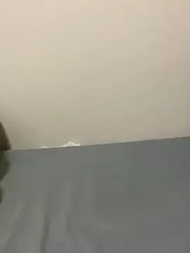 xibao379 on StripChat